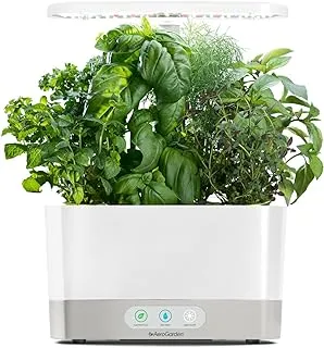 Indoor AeroGarden with vibrant herbs under LED lights