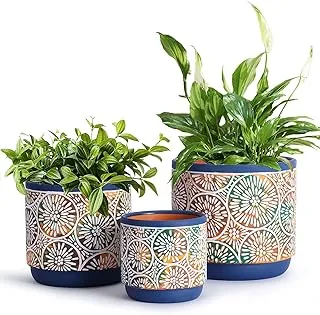 Assortment of stylish indoor planters in a modern living space